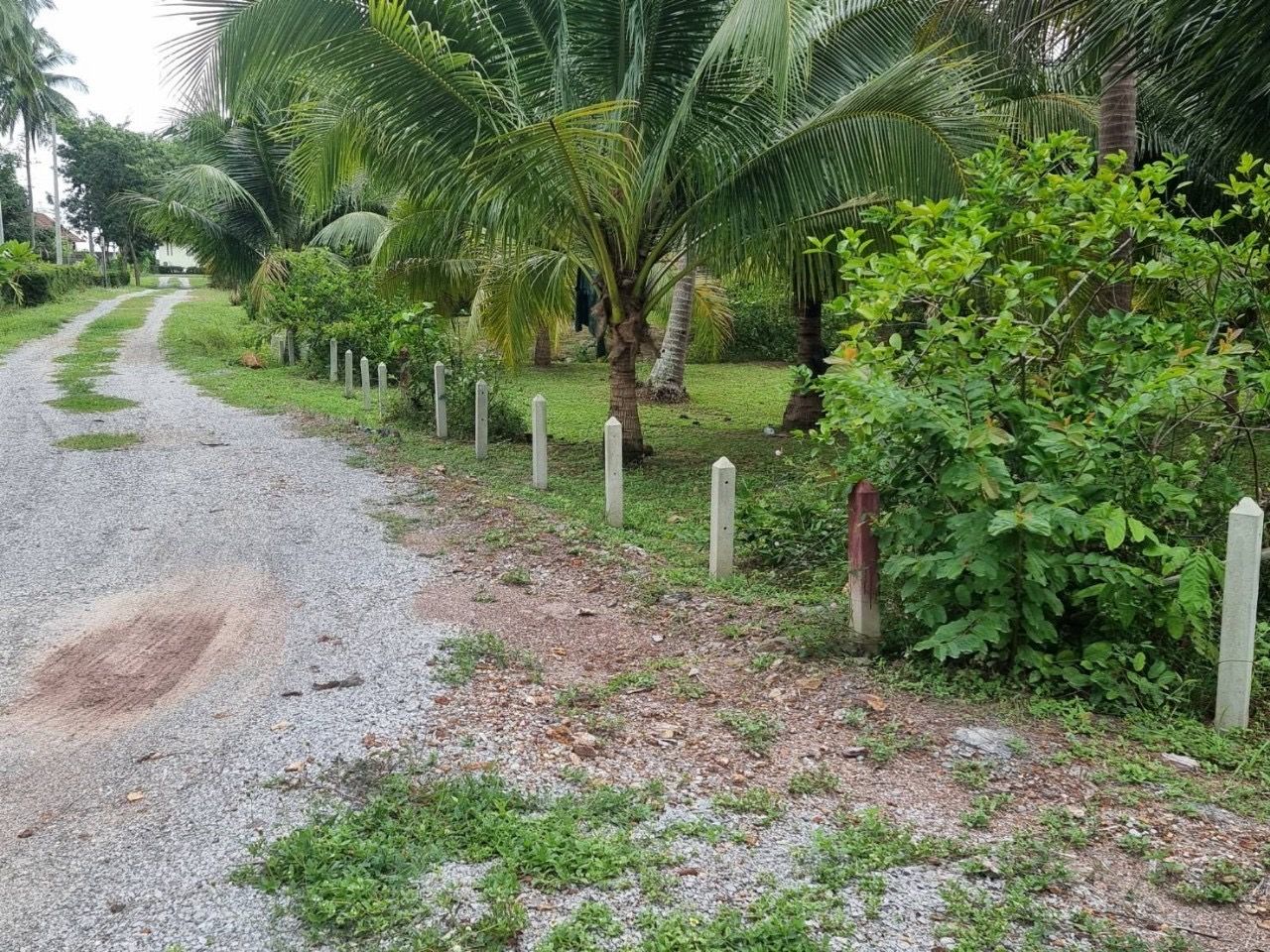 ขายที่ดินติดทะเลทำเลทองใจกลางย่านโรงแรมและรีสอร์ท