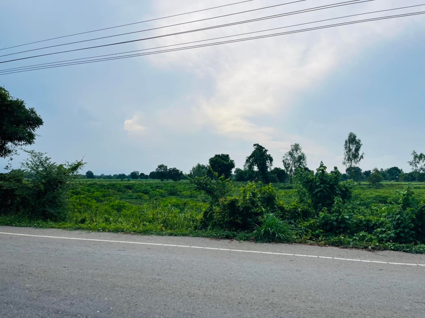 ขายที่ดินสุพรรณบุรี สามชุก 1-0-0