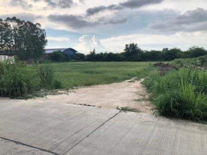 ขายที่ดินชลบุรี อำเภอพานทอง ที่ดินทำเลดี