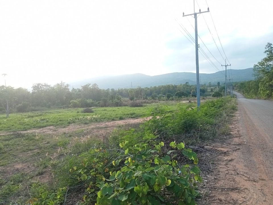 ที่ดินแปลงสวย ชัยภูมิ 6 ไร่