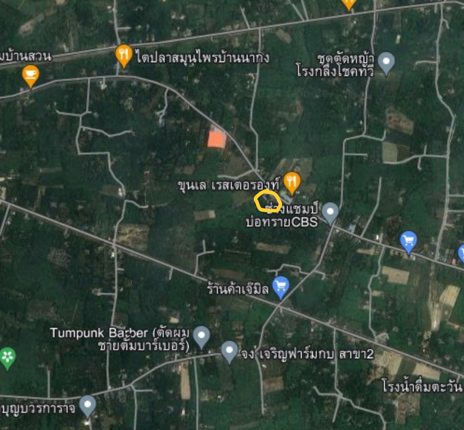 ขายที่ดินนครศรีธรรมราช อำเภอลานสกา ที่ดินพร้อมบ้านสวน ติดถนนดำ ไฟฟ้าเข้าถึง น่าลงทุน