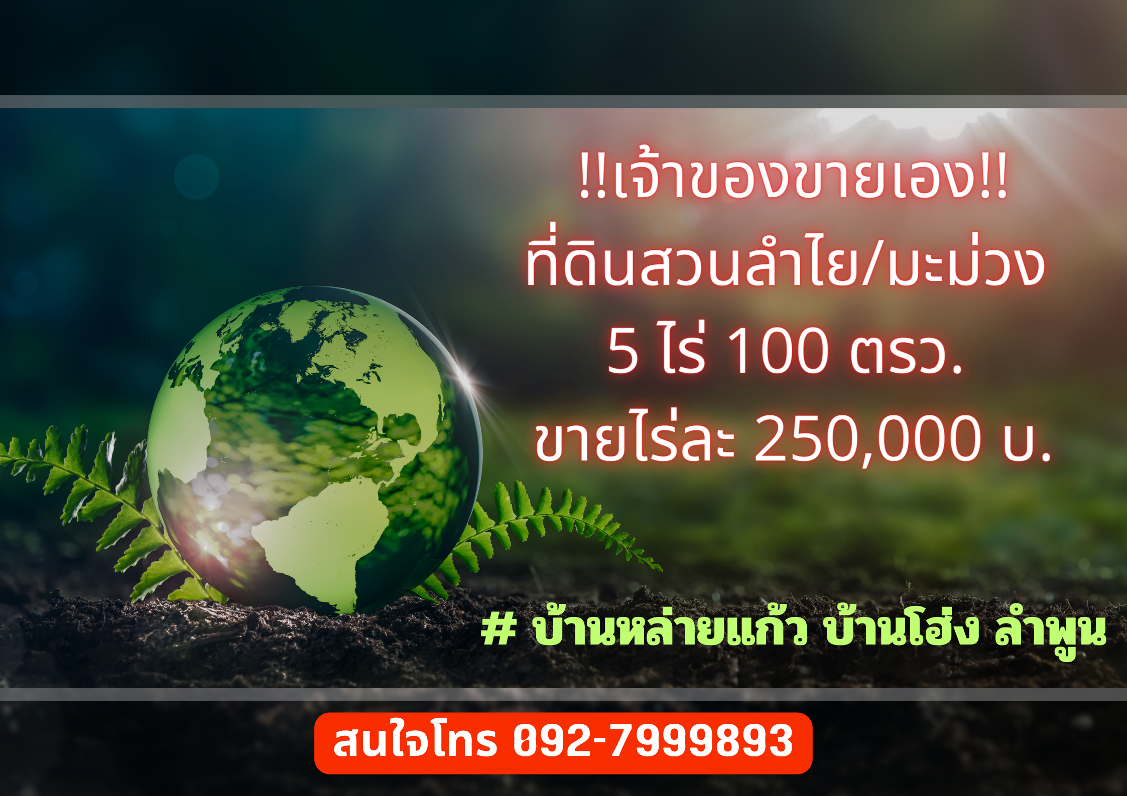 ขายถูกสวนลำไย มะม่วง 5-1-0 ไร่ ศรีเตี้ย บ้านโฮ่ง ลำพูน