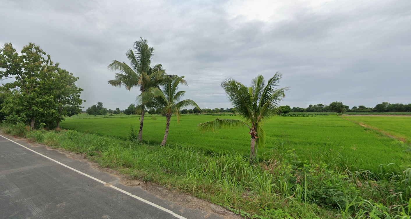 ขายที่ดินเปล่า ศรีสำโรง สุโขทัย