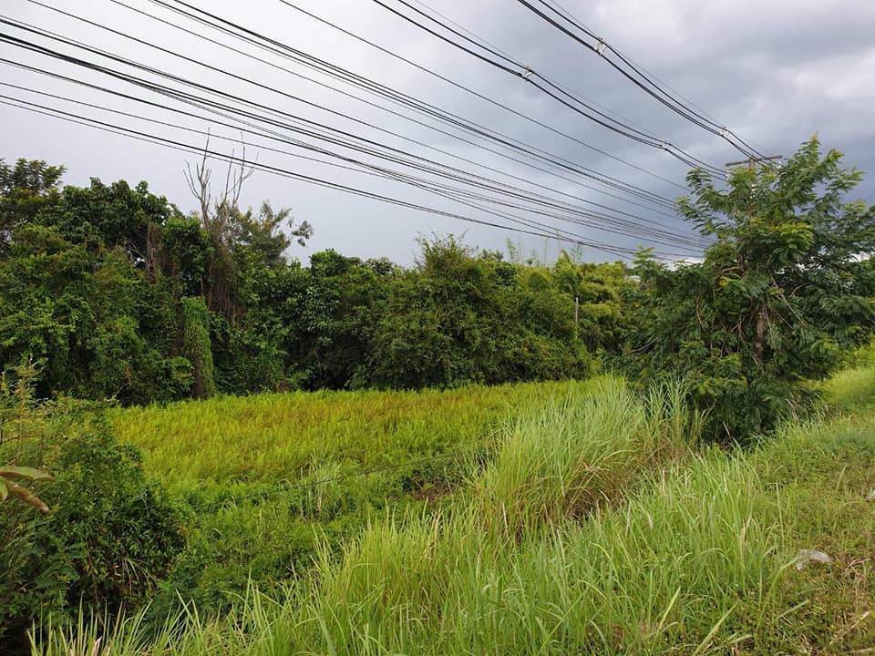 ที่ดินเปล่าติดถนนสาธารณะ 5 ไร่