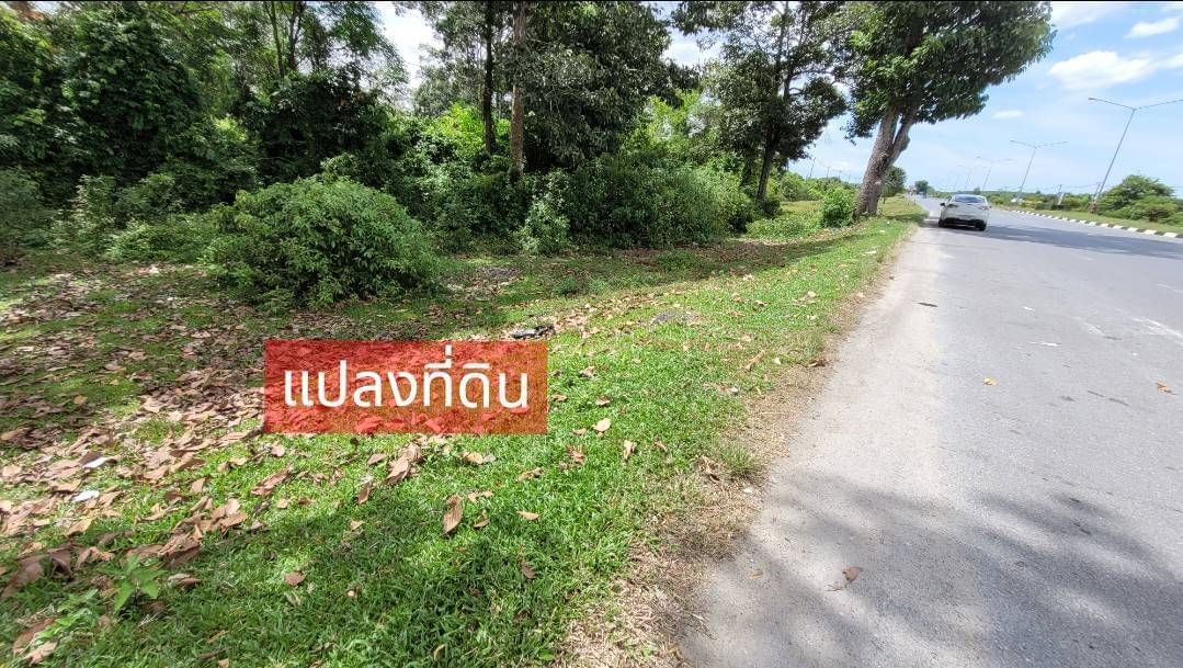 ขายที่ดินแปลงสวย หน้ากว้าง 130 ม. ใกล้สนามบินนานาชาติ จ.นครศรีธรรมราช