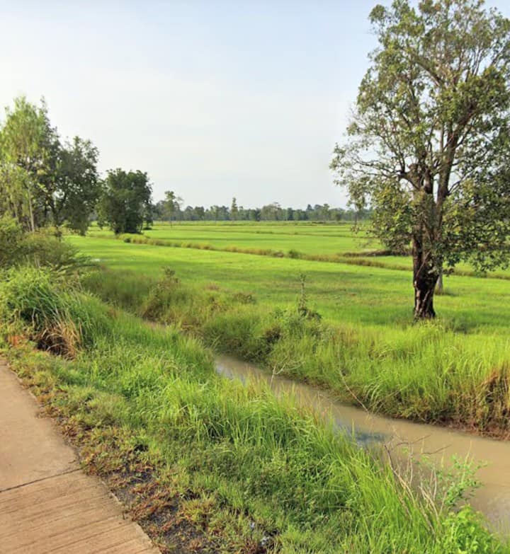 ขายที่ดิน บุรีรัมย์ 7-2-93