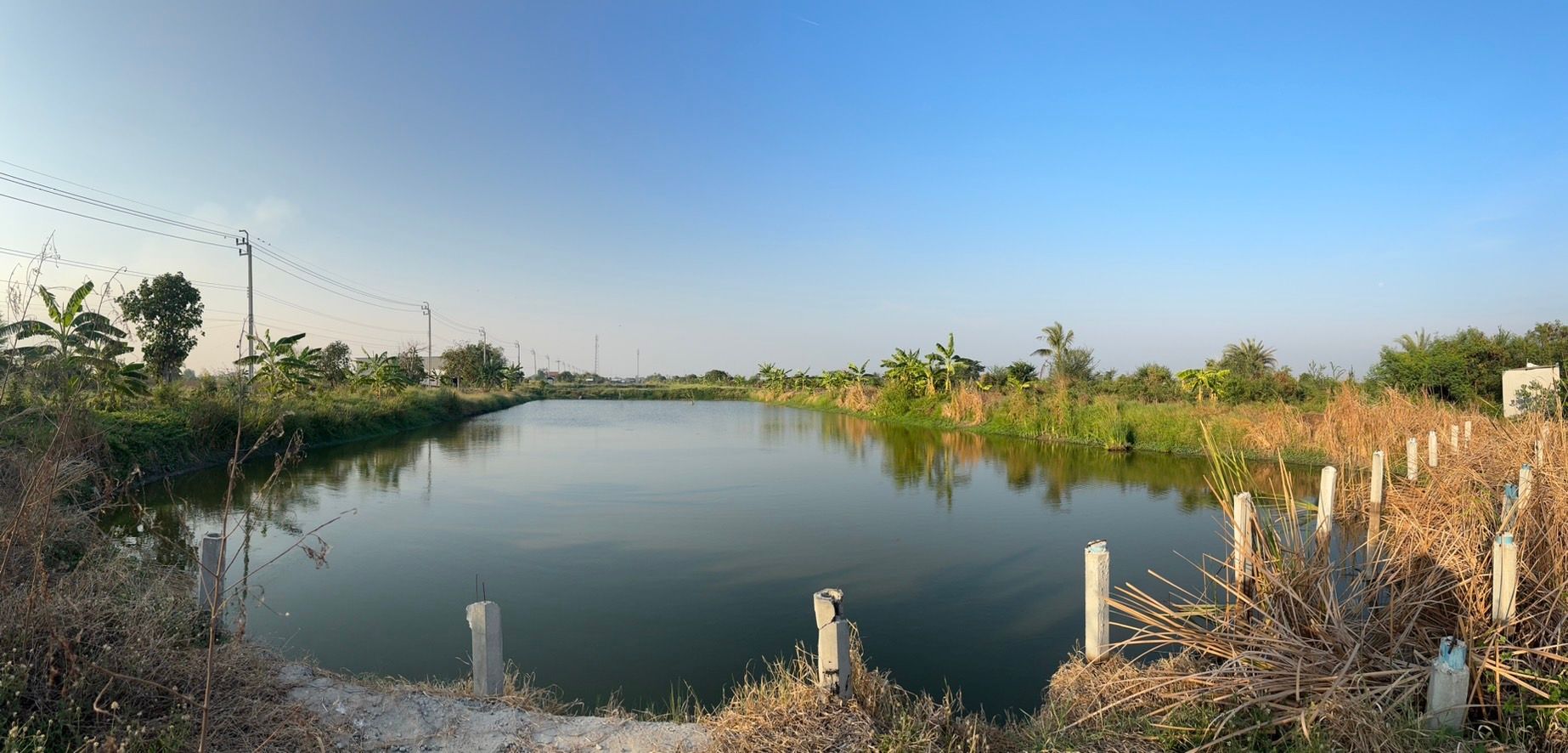 ทำเลทองลาดกระบัง! ขายที่ดินสวย 2 ไร่ 56 ตร.ว. ติดถนนใหญ่ 4 เลนตัดใหม่ ใกล้วัดสุทธโภชน์ ทับยาว