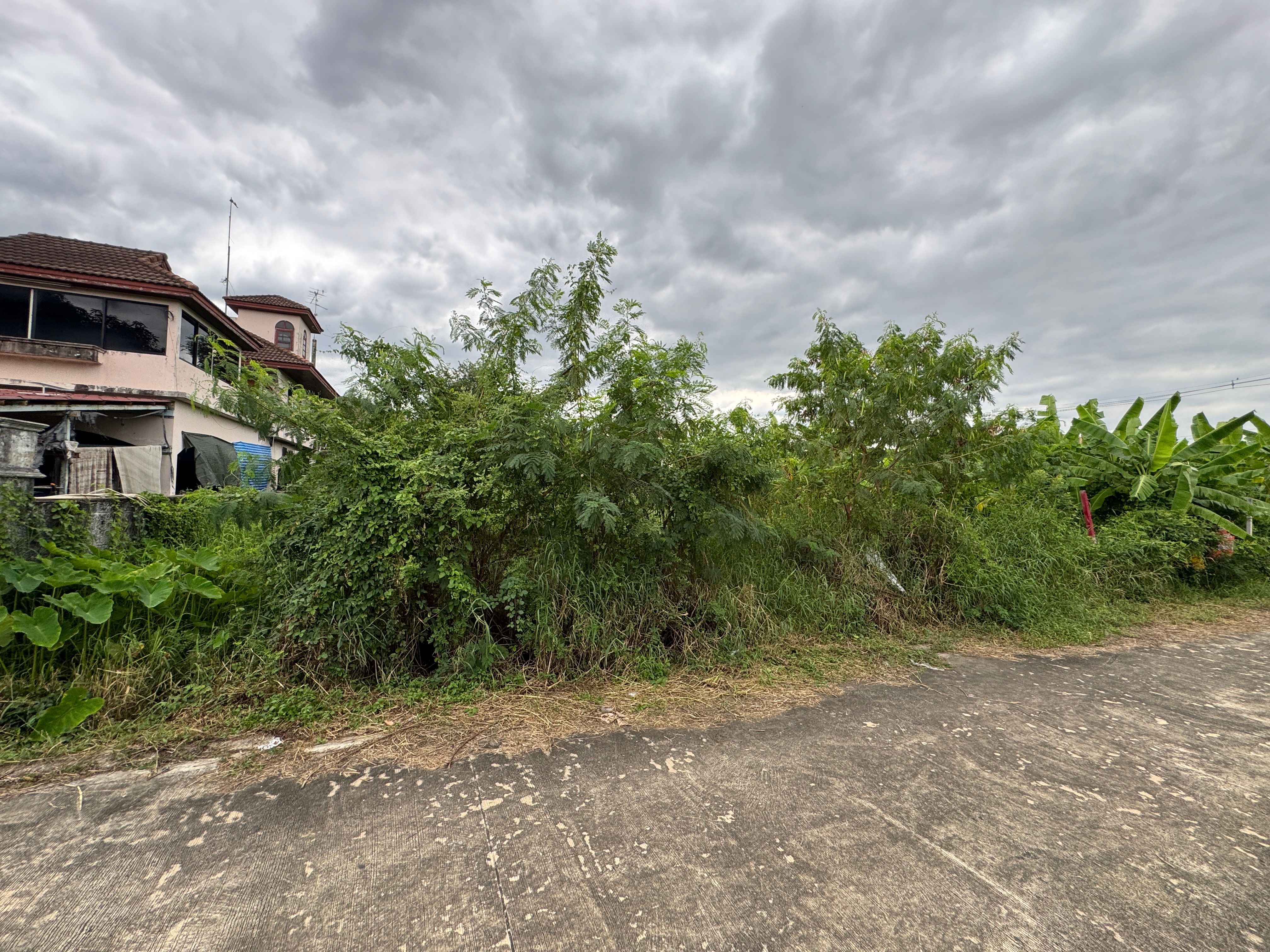 ขายที่ดินเปล่าปากเกร็ด ซ.ต้นสน 6 ซ.แจ้งวัฒนะ-ปากเกร็ด 20 ถมที่แล้ว