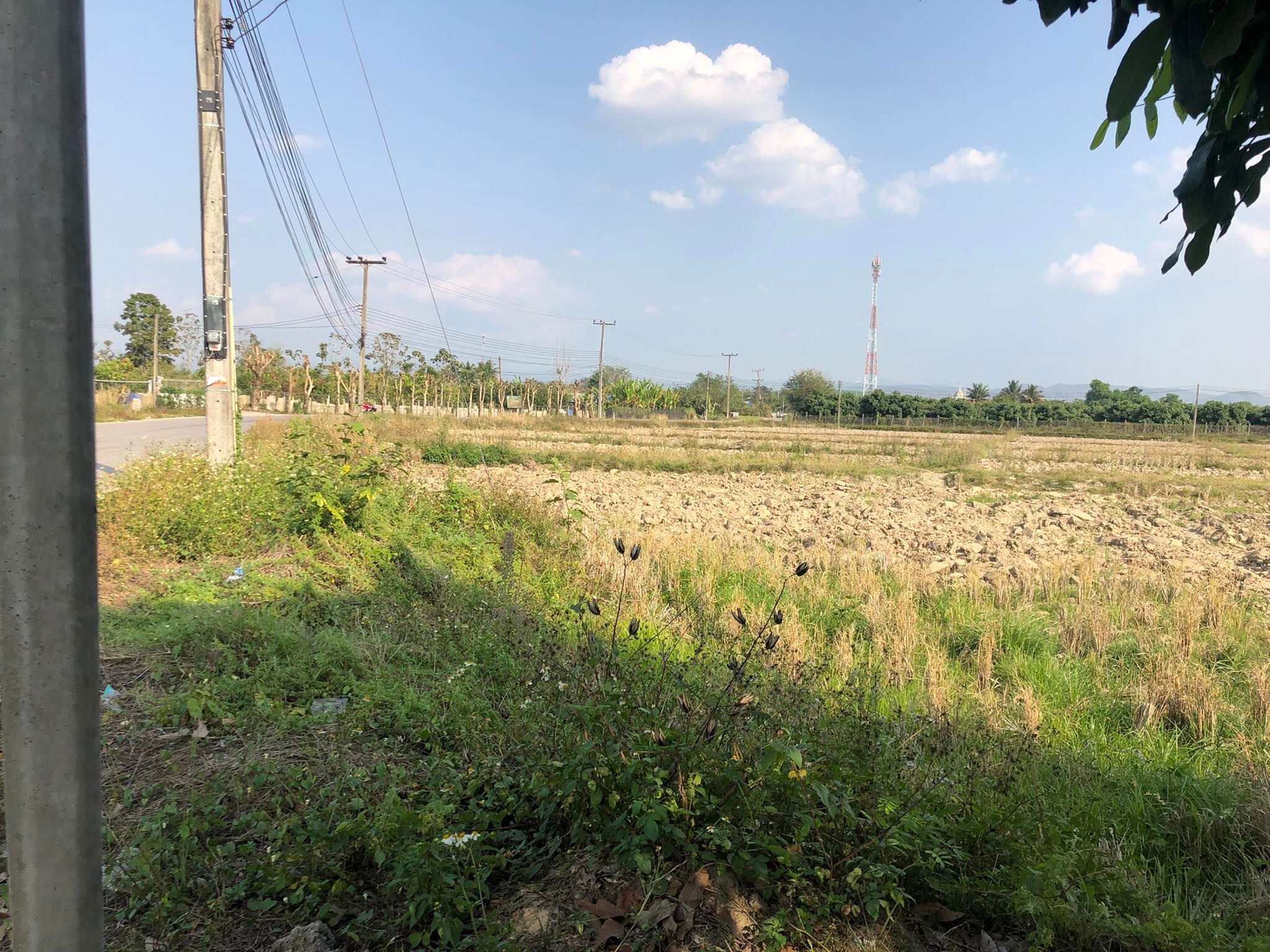 ที่ดินแปลงสวย ใกล้แหล่งชุมชนเห็นวิวดอยอ่างขาง  อ.ฝาง จ.เชียงใหม่ 3-3-52 ตร.ว.