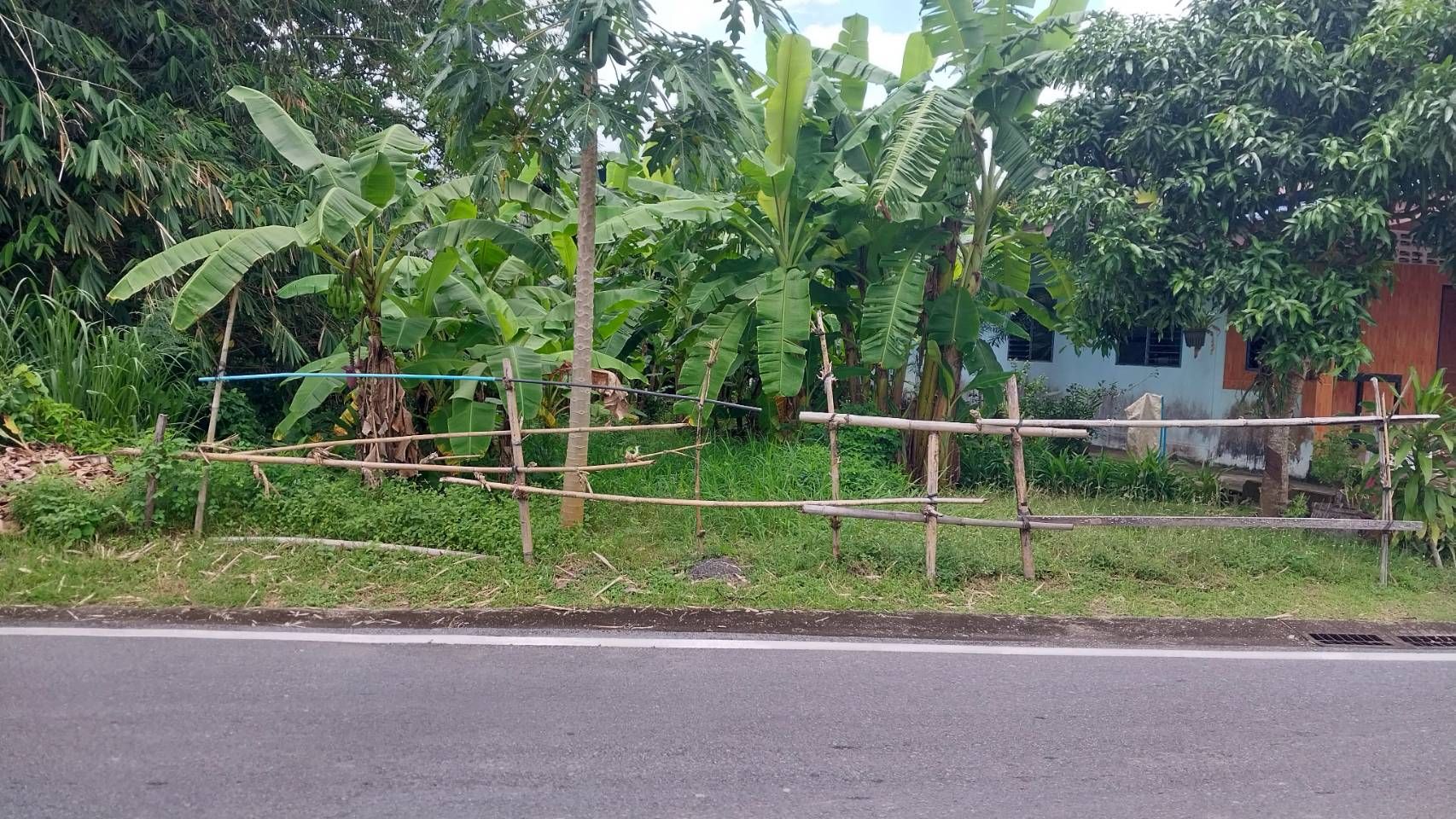 ขายที่ดินพังงา อำเภอเมือง ที่ดินเปล่า