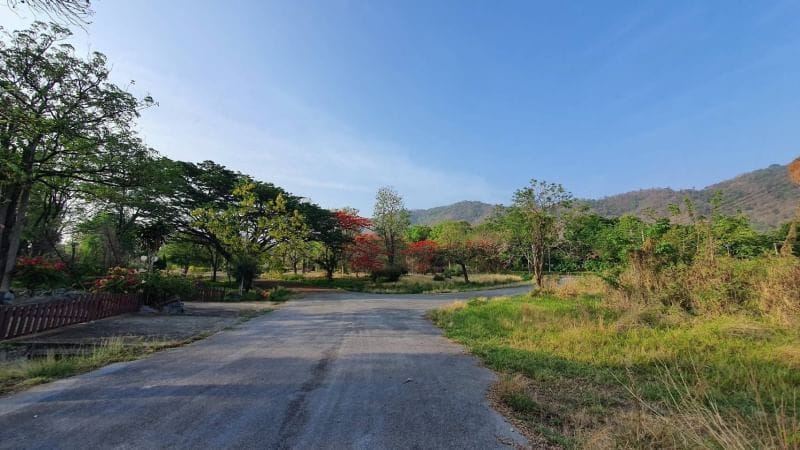 ขายที่ดินแปลงสวยบนเนินเขา