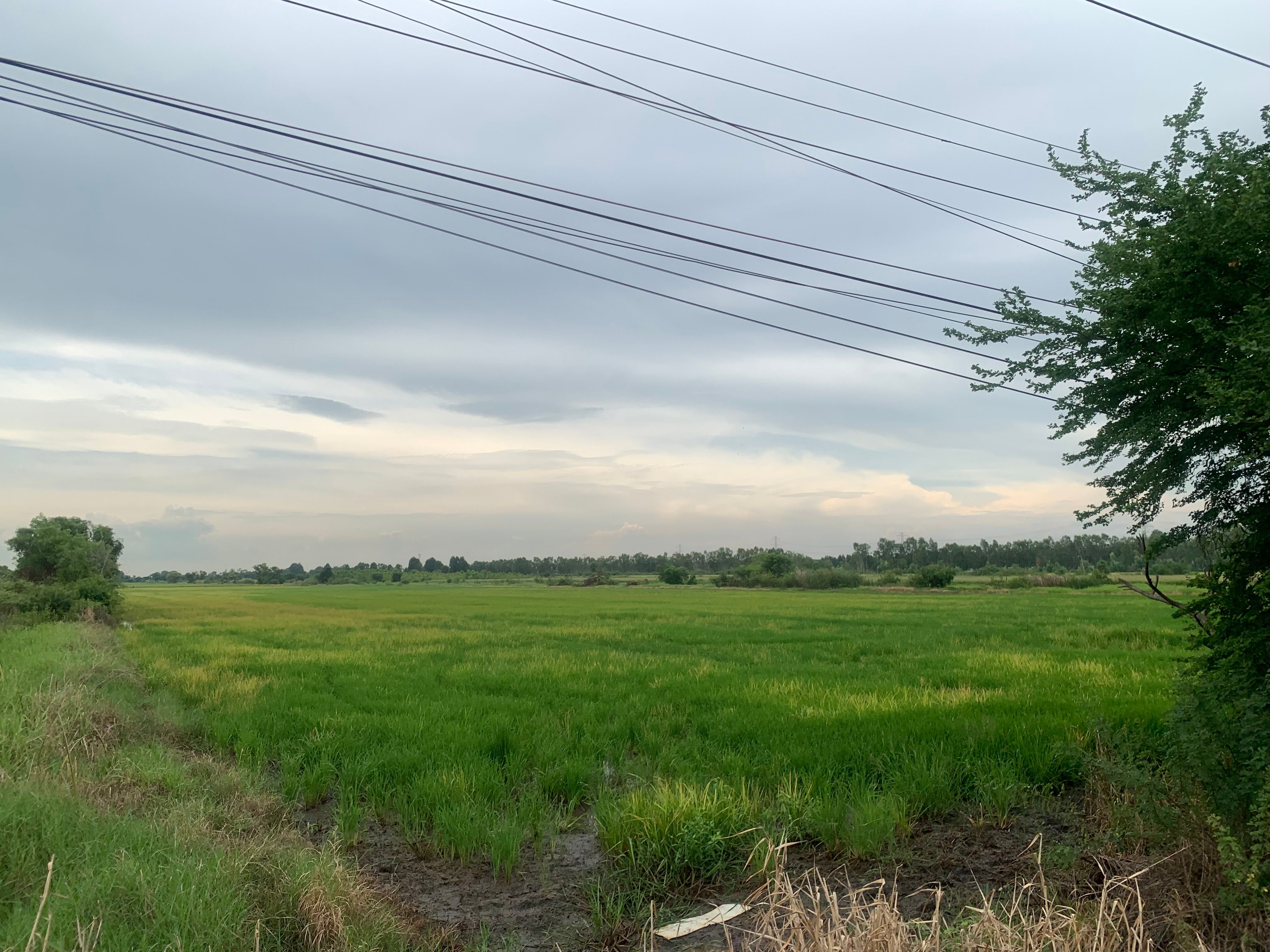 ขายที่สวยๆ