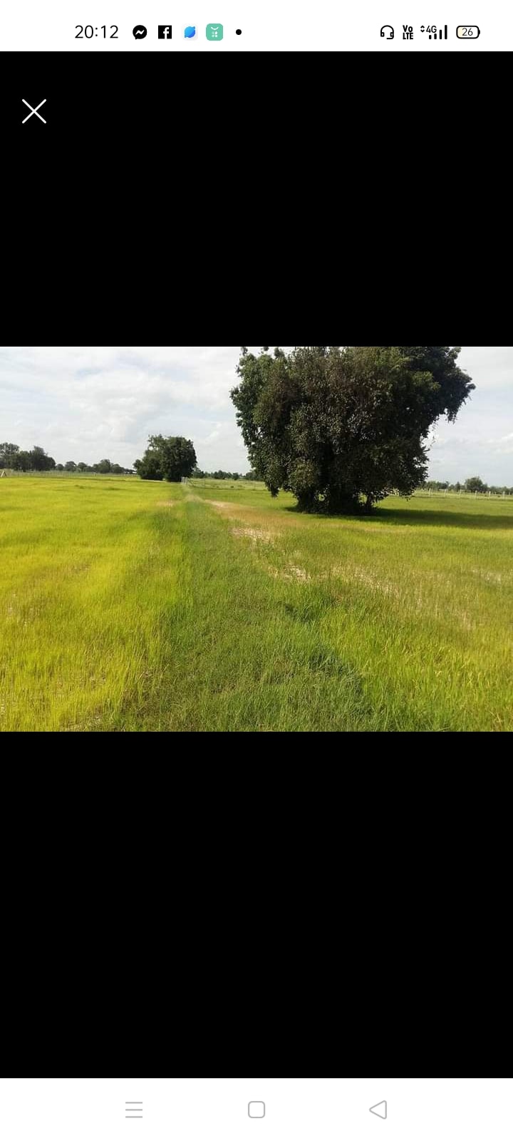 ที่ดินที่นา เมืองสุรินทร์ 5-2-33.7