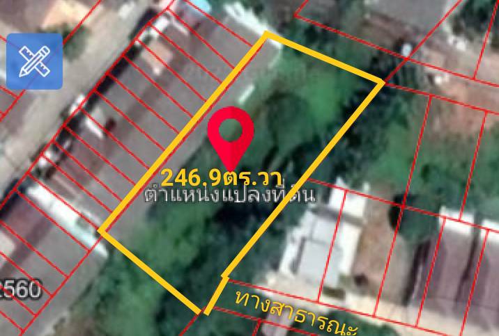 ขายที่ดินเปล่า สุราษฎร์ธานี 246.9 ตรว.