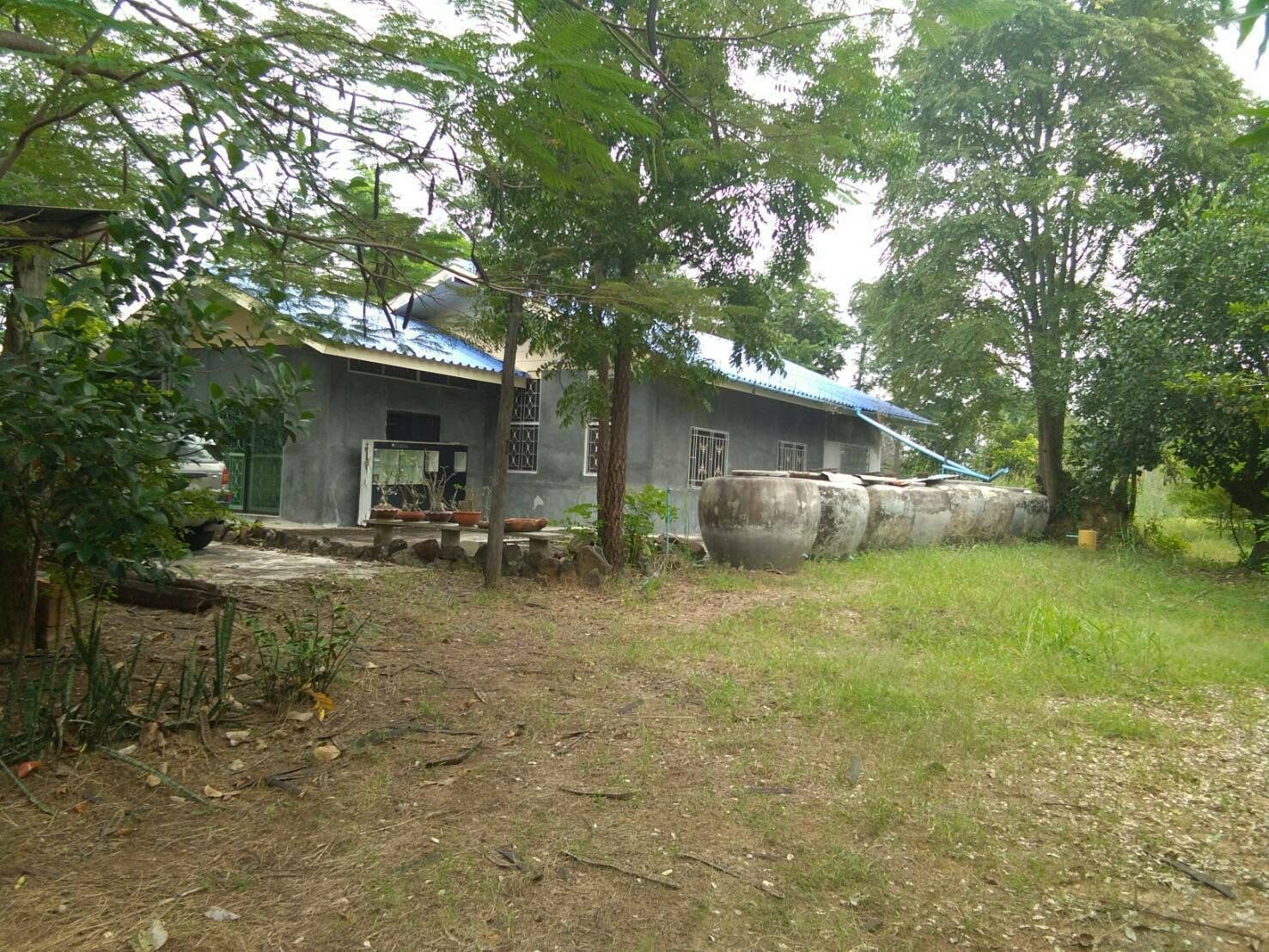 ขายบ้านพร้อมที่ดินใกล้ ม. ราชภัฏชัยภูมิ 1 ไร่ 2 ล้านบาท