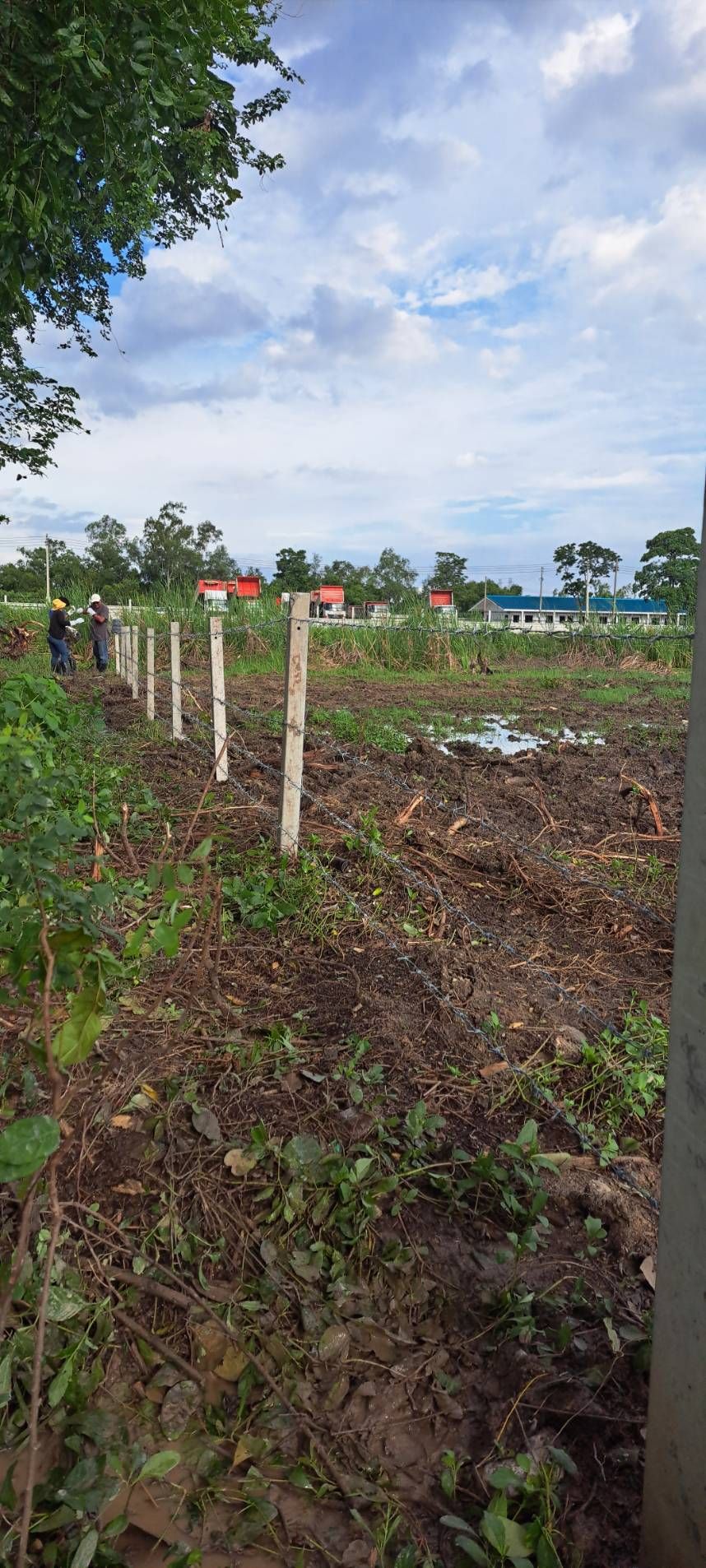 ขายที่ดินปทุมธานี อำเภอลำลูกกา แปลงสวย ใกล้โรงเรียนชุมชนเลิศพินิจพิทยาคม 3.2 กม.