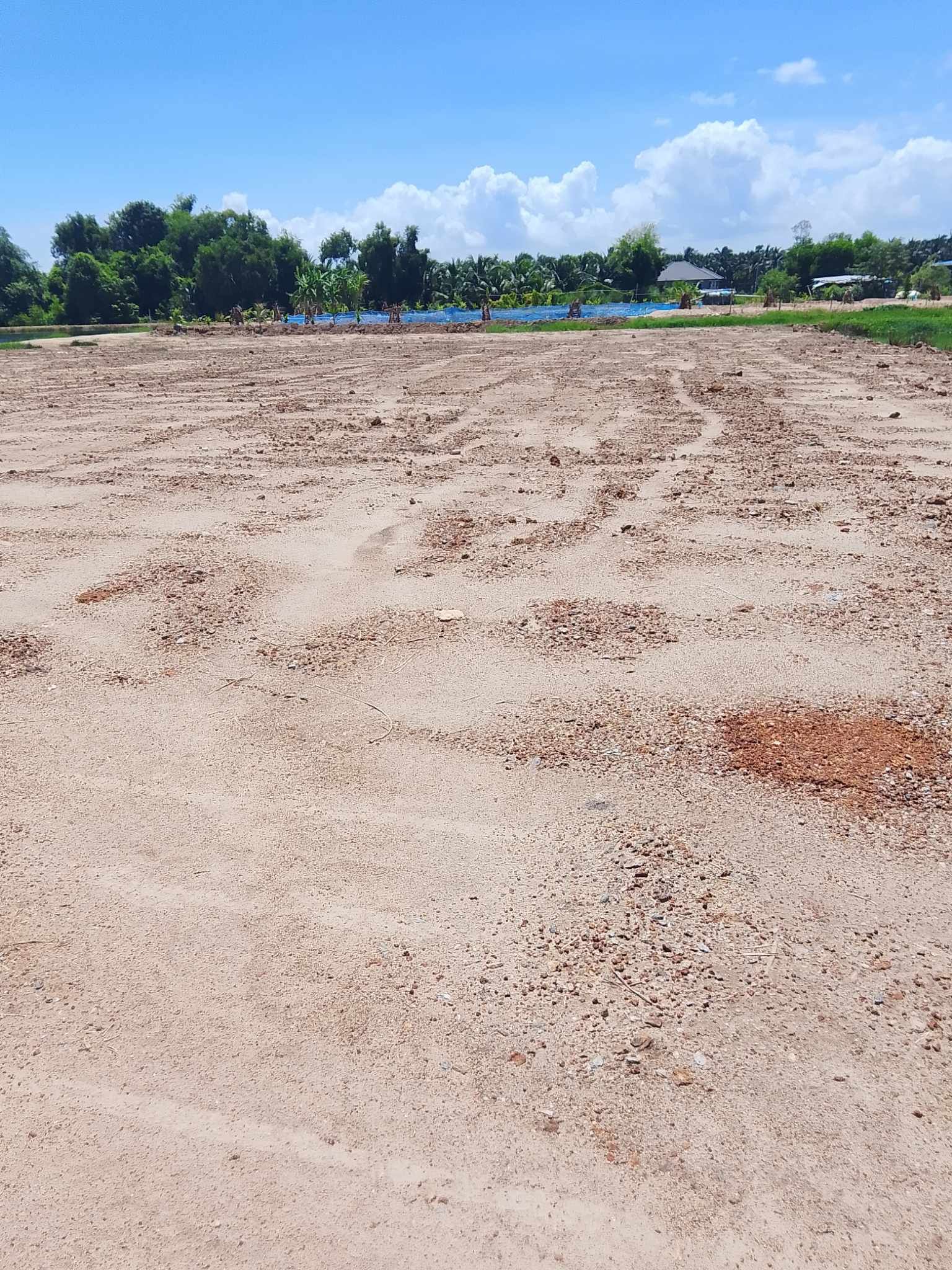 ขายที่ดินใกล้หาดแม่รำพึง700เมตร
