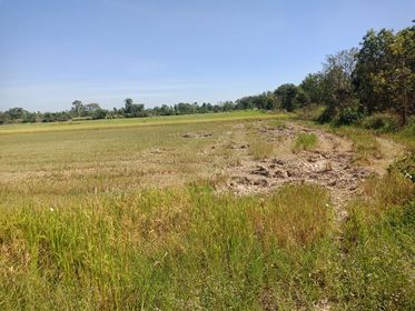 ที่ดินเปล่า ราคาถูก 71 ไร่ ลาดยาว นครสวรรค์ 