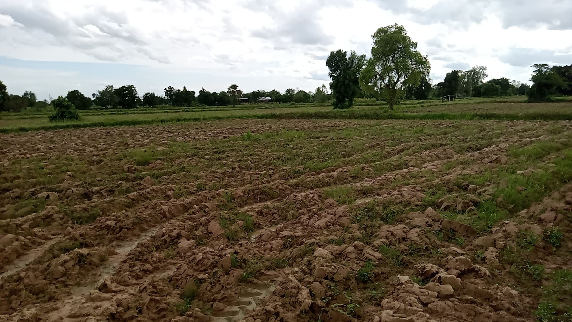 ขายที่ดินสระบุรี วิหารแดง 49-0-68