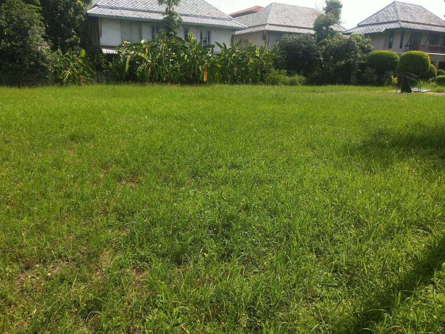 ขายที่ดินเปล่าถมแล้ว เนื้อที่ 325 ตร.วา ถนนบรมราชชนนี 74/1