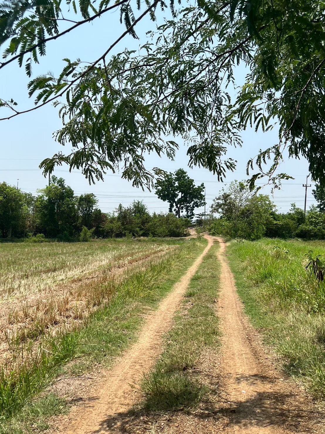 ขายที่ดินเปล่า