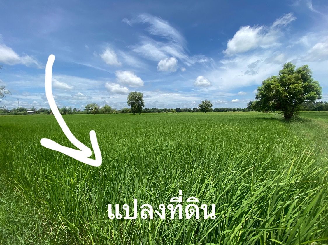 ขายที่ดินขอนแก่น อำเภอพล ที่ดินแปลงสวย บรรยากาศดี มีทางเข้า-ออก ใกล้ชุมชน 9-0-0 ไร่.