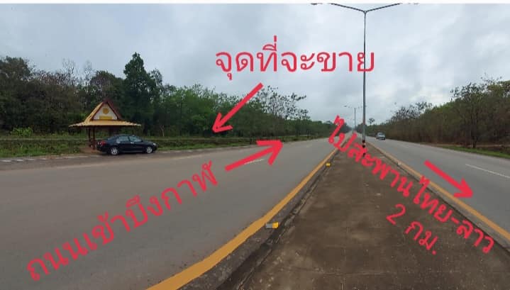 ขายที่ดินบึงกาฬ อ.เมืองบึงกาฬ 4-3-99.3 ไร่