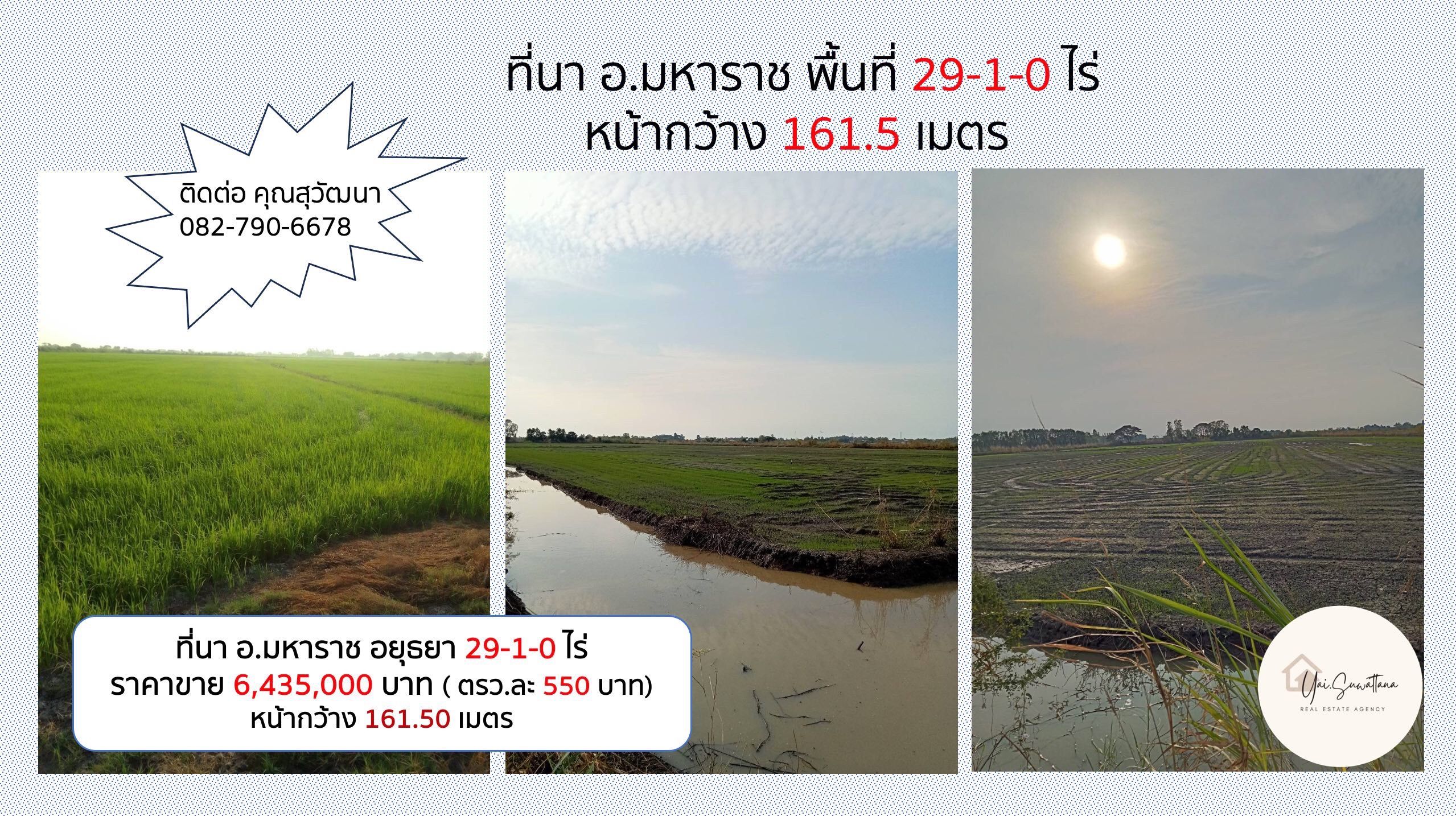 🔥🔥ที่ดิน  29-1-0  ไร่ ต.บ้านนา มหาราช อยุธยา ใกล้อ่างทอง ราคา 6.435 ล้าน -ตรว.ละ 550 บาท-เจ้าของขายเอง