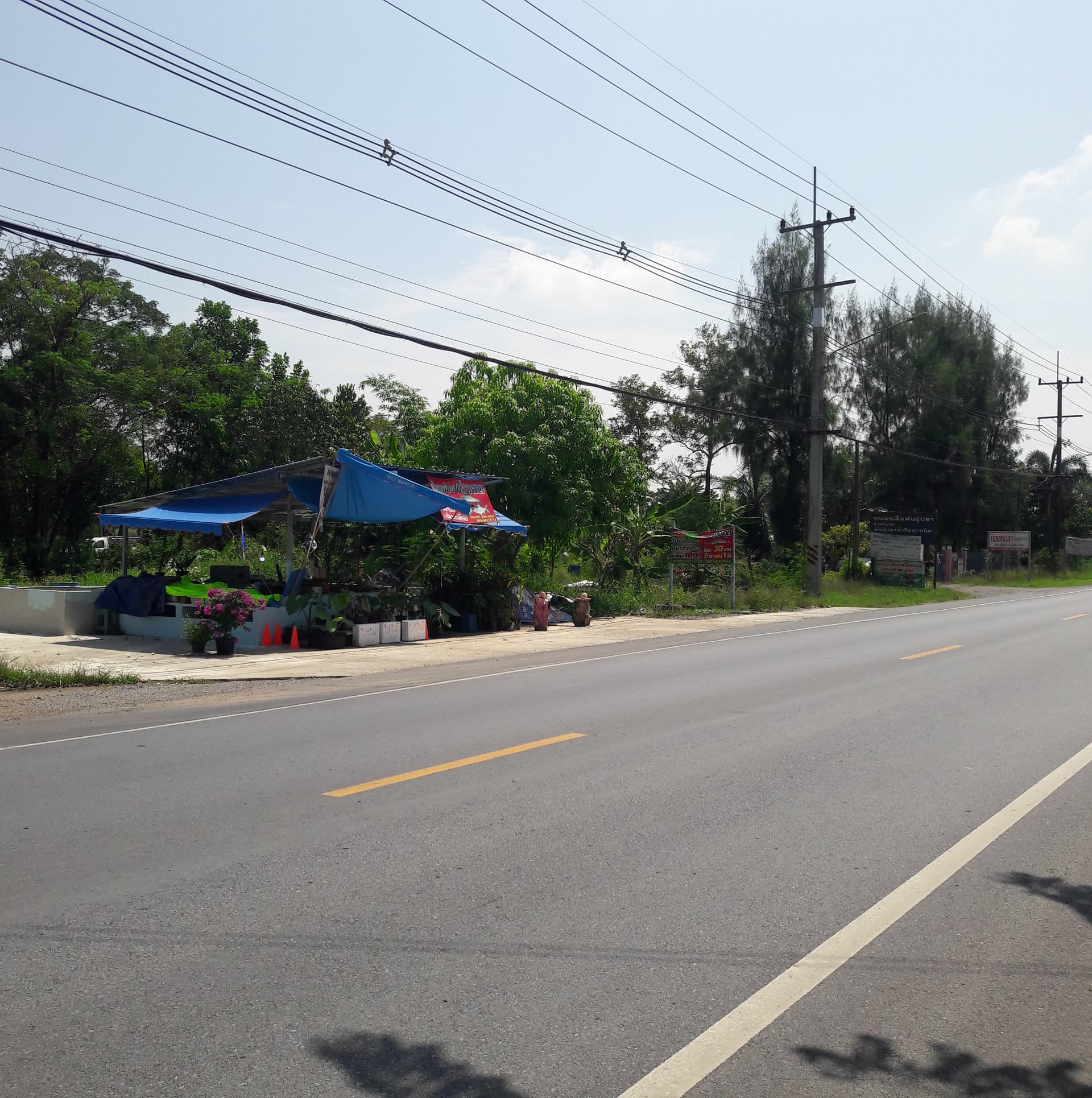 ที่ดินเปล่าแปลงใหญ่ หนองเสือ ปทุมฯ 101-1-3