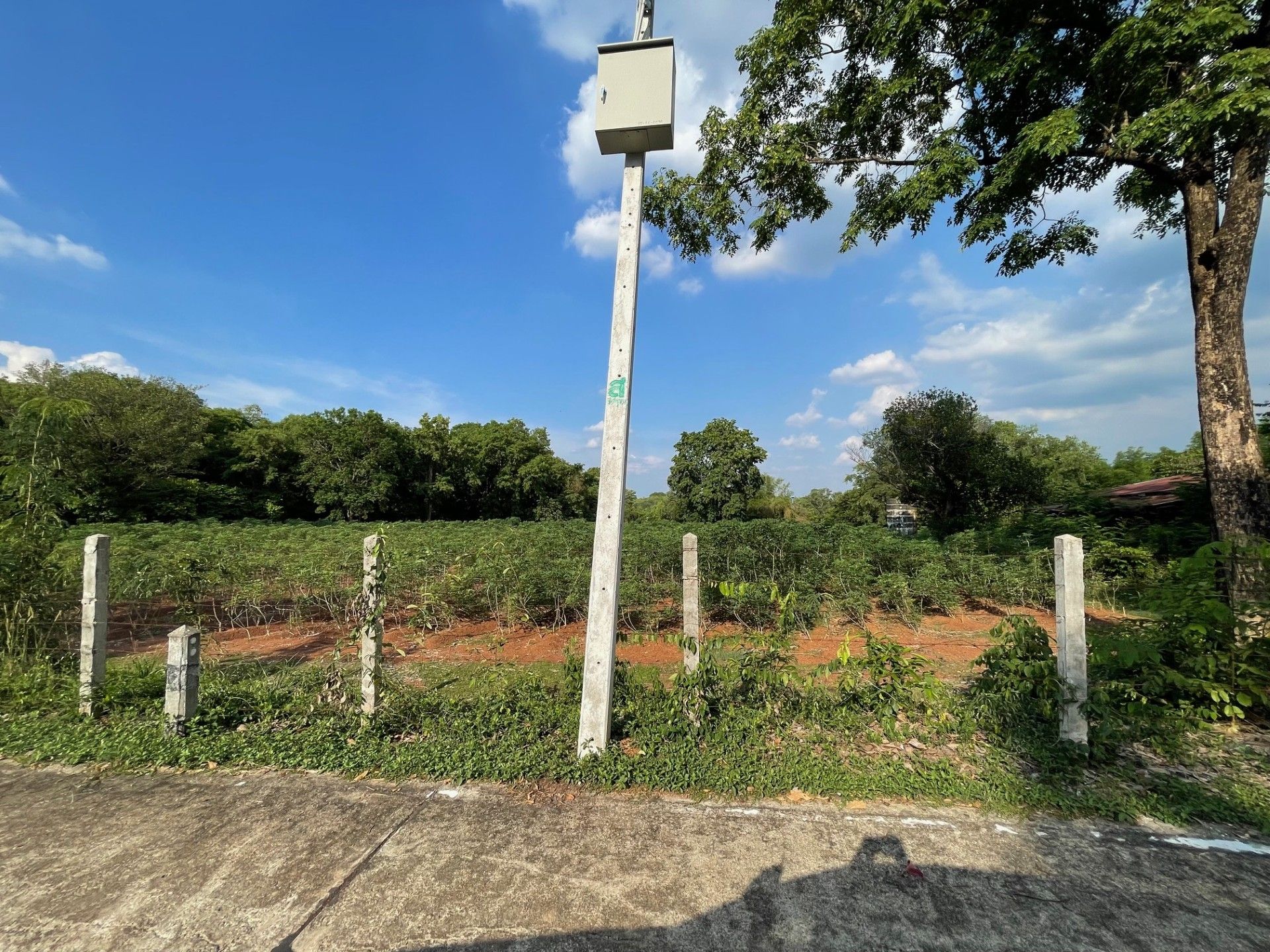 ขายที่ดิน ต.ประจันตคาม  อ.ประจันตคาม จ.ปราจีนบุรี 10 ไร่ 2 งาน 50 ตร.ว น้ำไฟ เข้าถึง มีถนนคอนกรีดตัดผ่านตลอดแนวด้านหน้าที่ดิน **ราคา 4.2 ล้านบาท** 