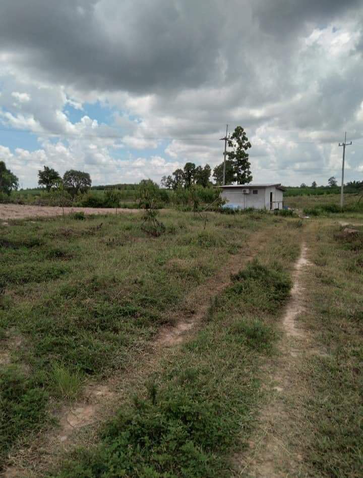 ขายที่ดินกาฬสินธุ์ สหัสขันธุ์ 1 ไร่