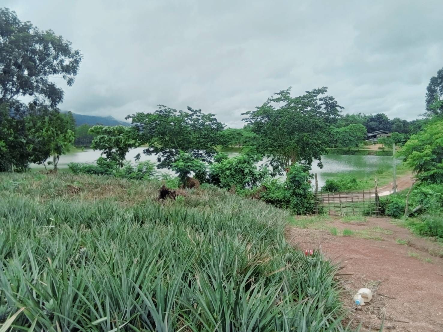 ที่ดิน วิวสวยเงียบสงบ