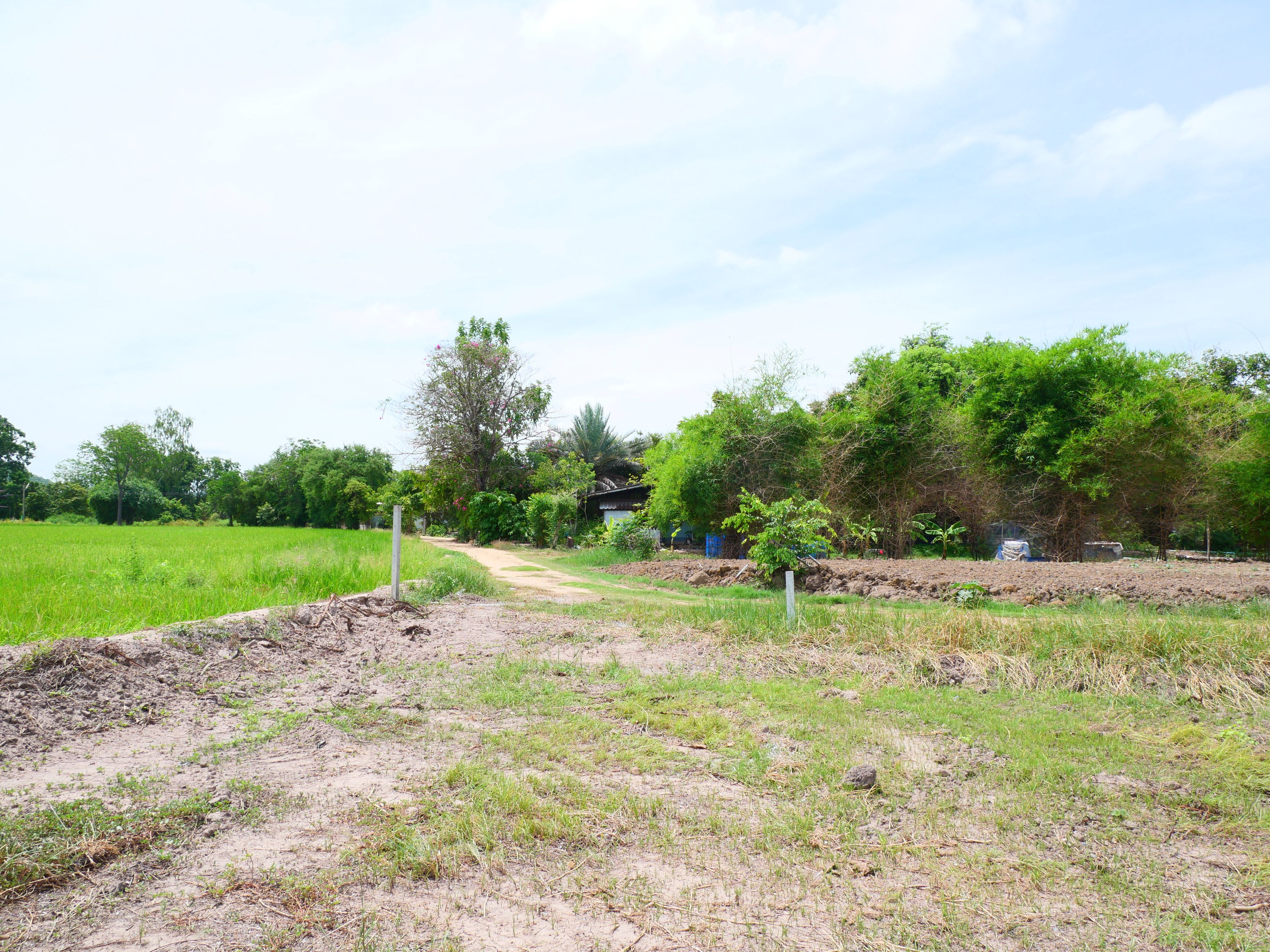 ริมน้ำ เดิมบางนางบวช, สุพรรณบุรี 2-3-9 ไร่