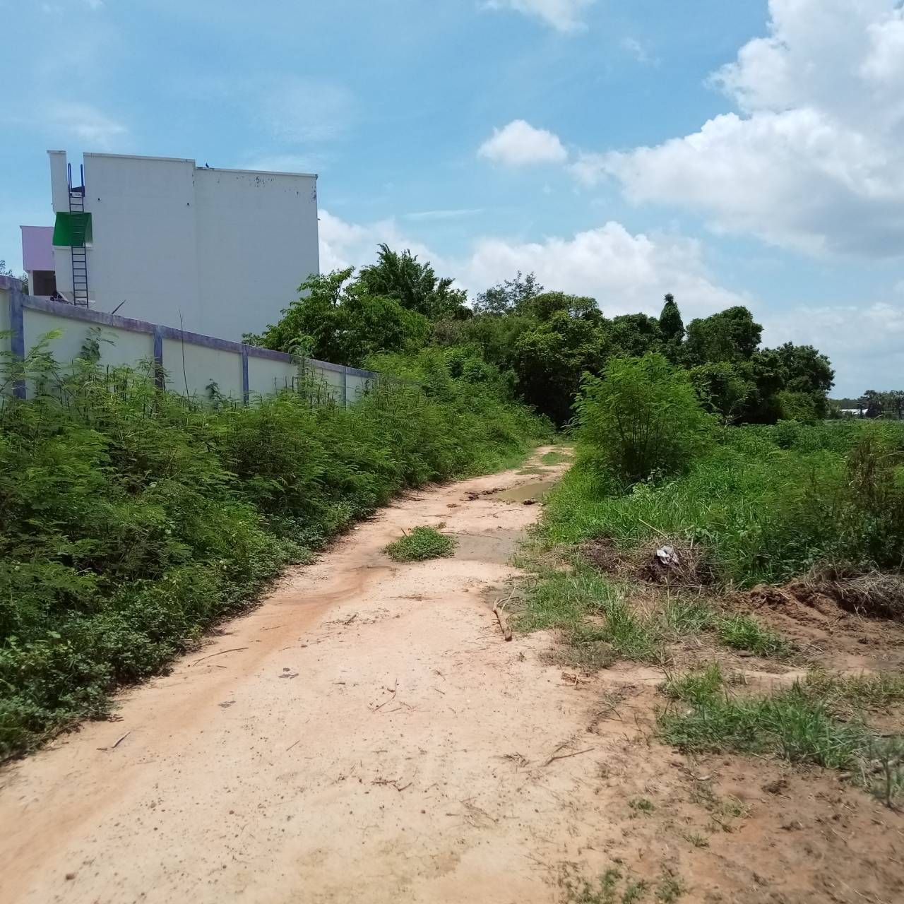 ขายที่ดิน จ.ชัยภูมิ