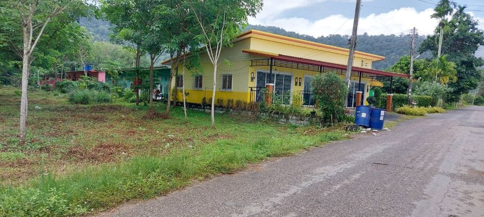 ที่ดินถลางบ้านพารา ถลาง ภูเก็ต 6-1-48.3