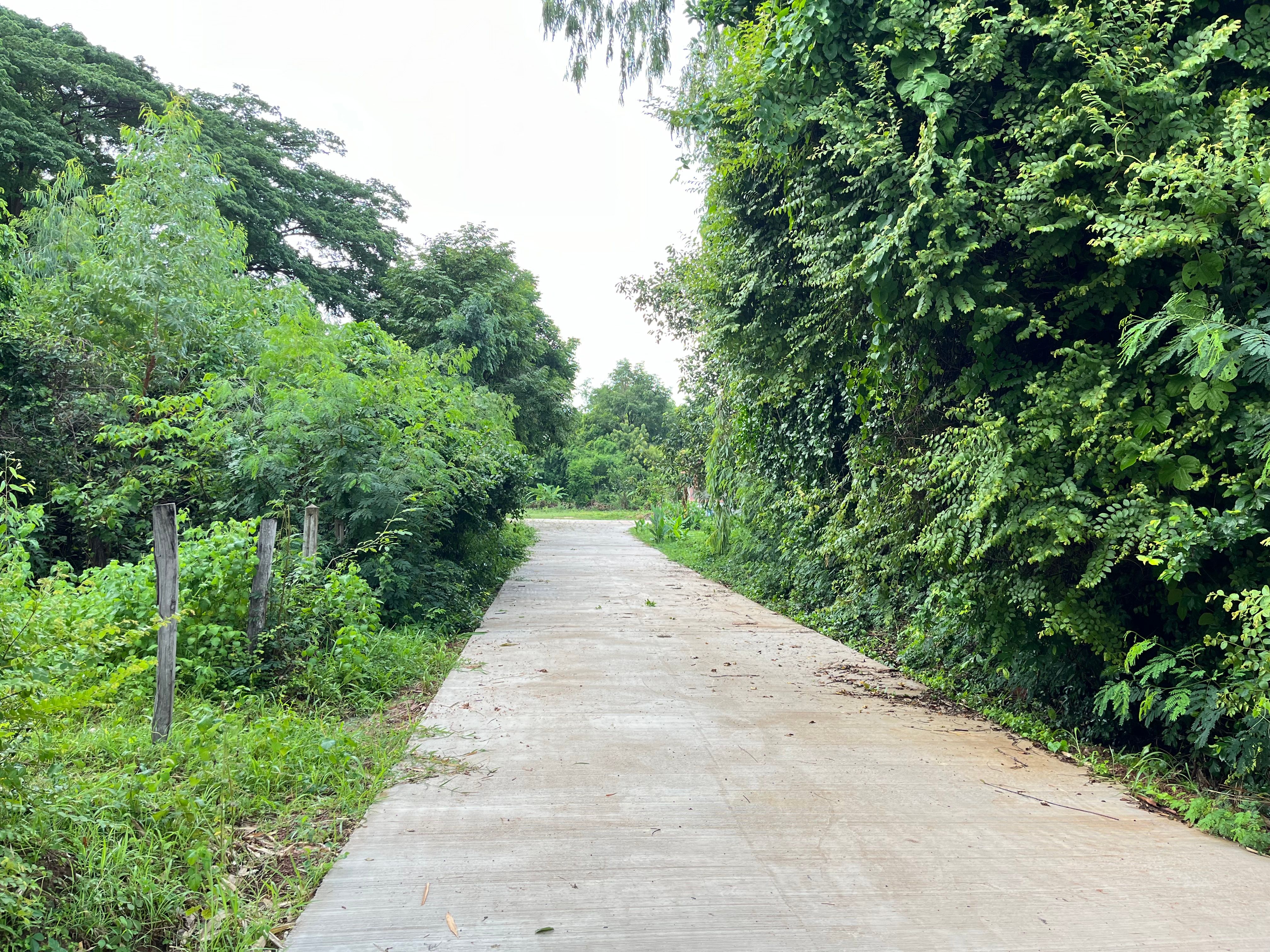 ขายที่ดิน