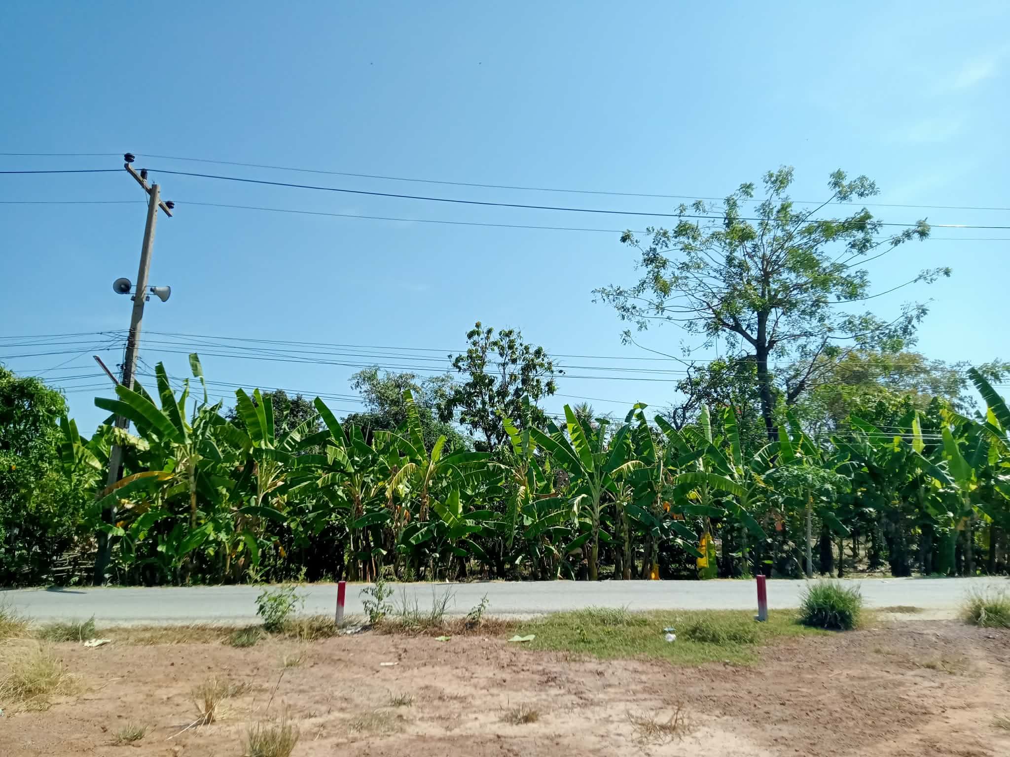 ขายที่ดินพร้อมบ้านสวน