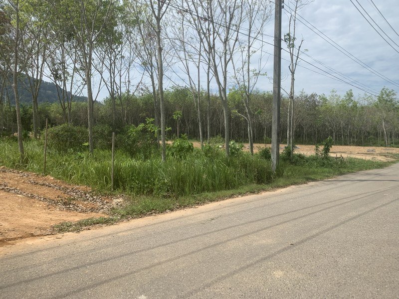 ที่ดินป่าคลอก ถลาง ภูเก็ต เนื้อที่ 1 ไร่ 