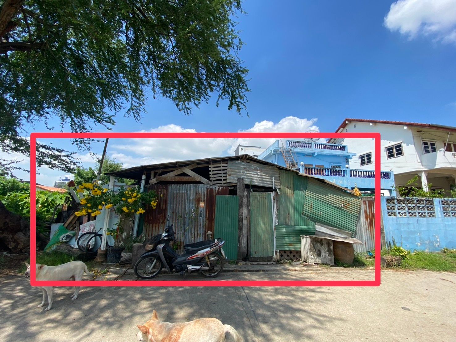 ขายที่ดินทำเลดี ย่านบางนา ซอย หมอบุญเจริญชัย เข้า-ออกสะดวก ใกล้สถานีรถไฟฟ้าศรีเอี่ยม 