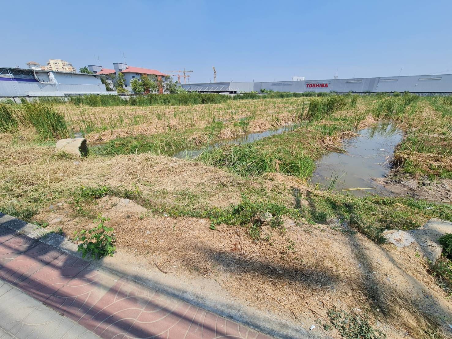 ขายที่ดินปทุมฯ เมือง ทรัพย์พร้อมลงทุน อยู่ใกล้นิคมอุตสาหกรรม ติดกับโลตัสบางกะดี