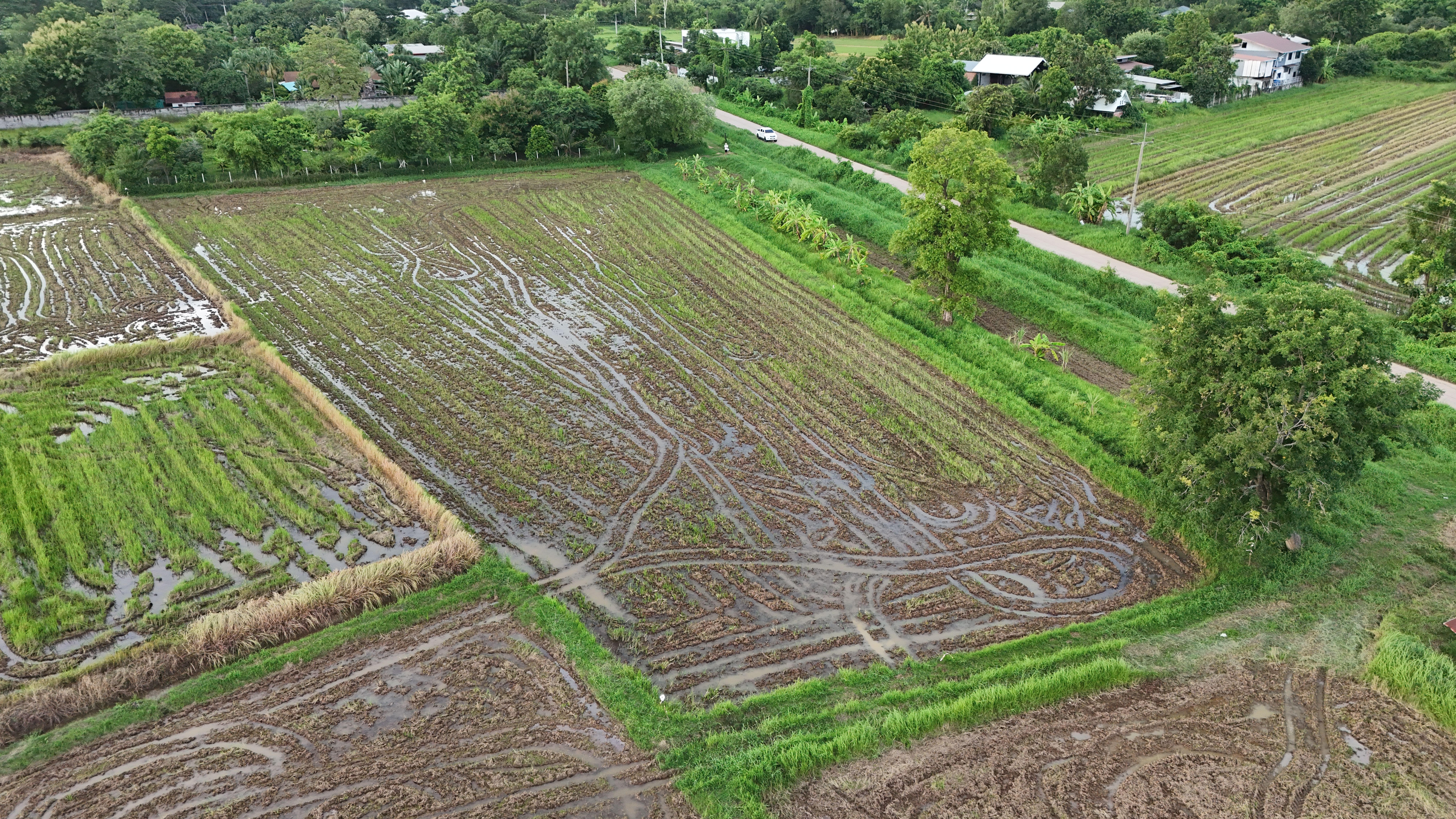 ขายที่ดินขอนแก่น ที่สวย หน้ากว้าง ติดถนนคลองชล 3 ไร่