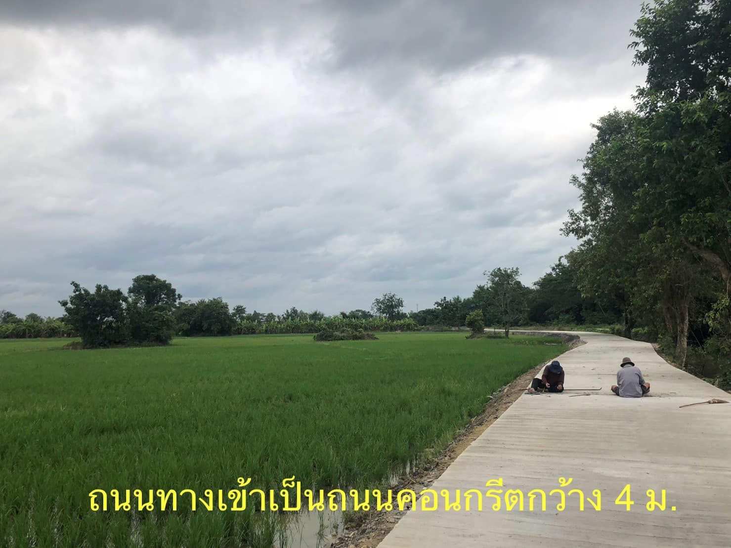 ขายที่ดินเกือบ 24 ไร่ อำเภอหางดง เชียงใหม่