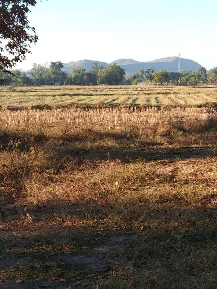 ที่ดินเปล่า สุพรรณบุรี