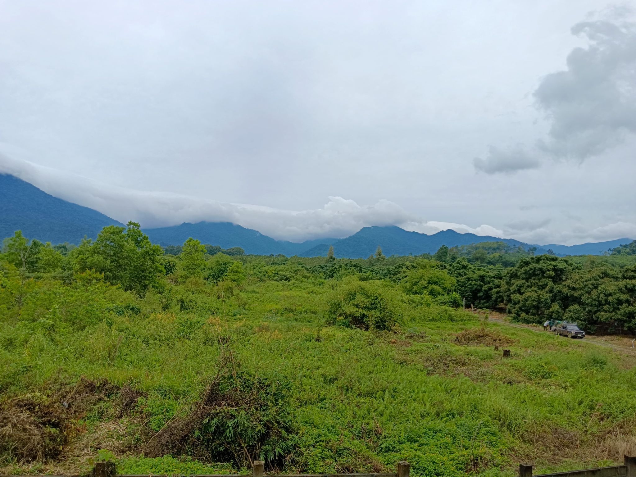 ที่ดินเปล่าจันทบุรี จ.จันทบุรี อ.โป่งน้ำร้อน 58-2-10 ไร่