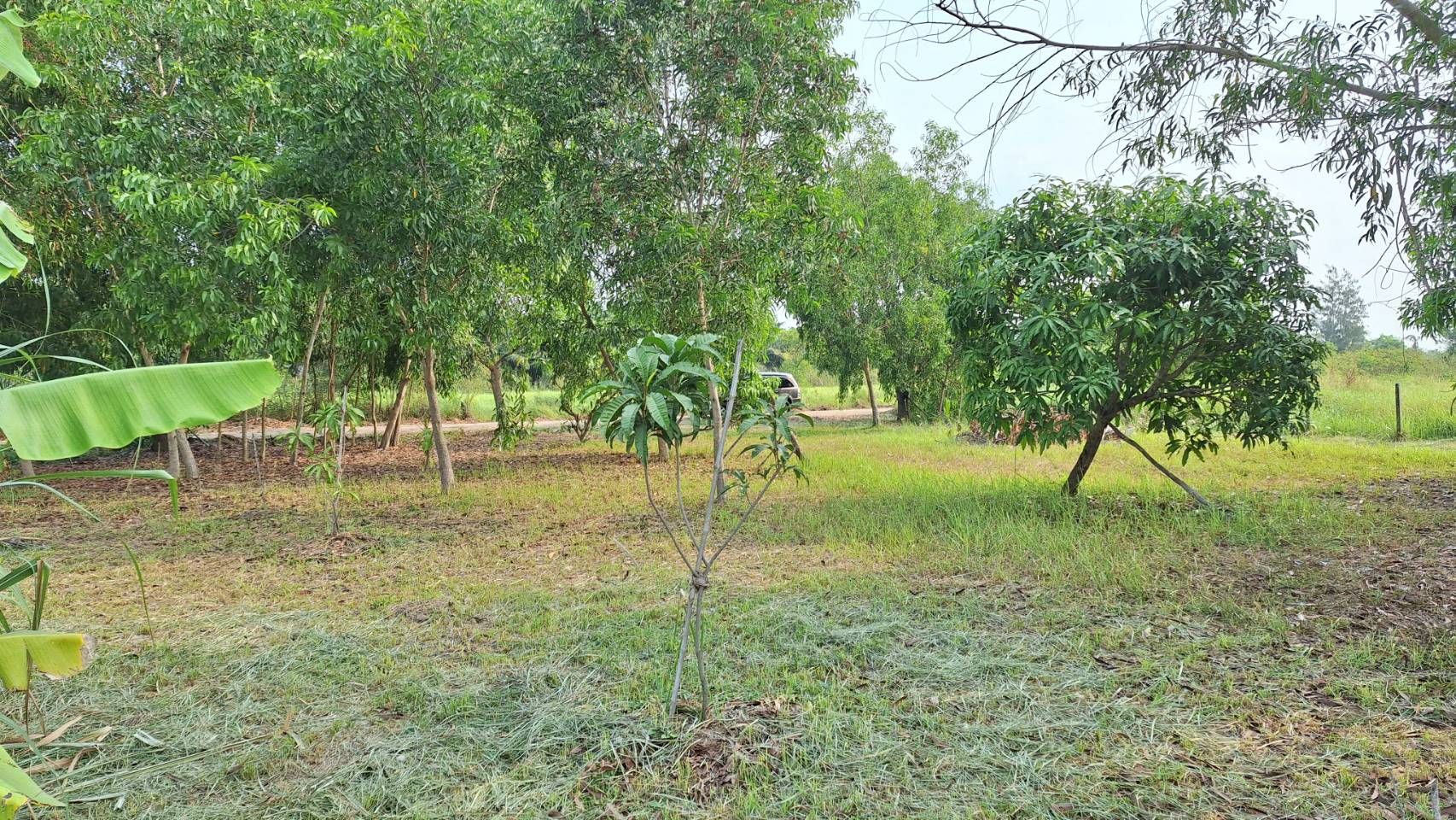 ขายที่ดินสวย 1 ไร่ หนองเสือคลองสิบ เจ้าของขายเอง