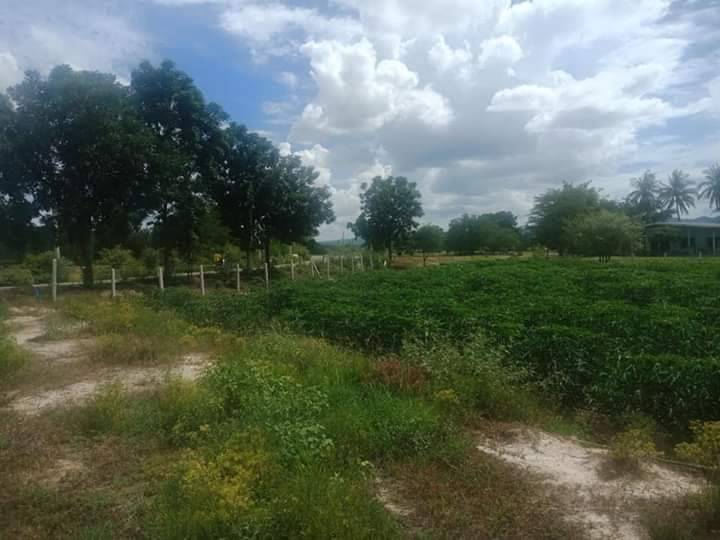 ที่ดินวิวภูเขา ติดถนนลาดยาง แปลงสวย กาญจนบุรี 3 ไร่ 