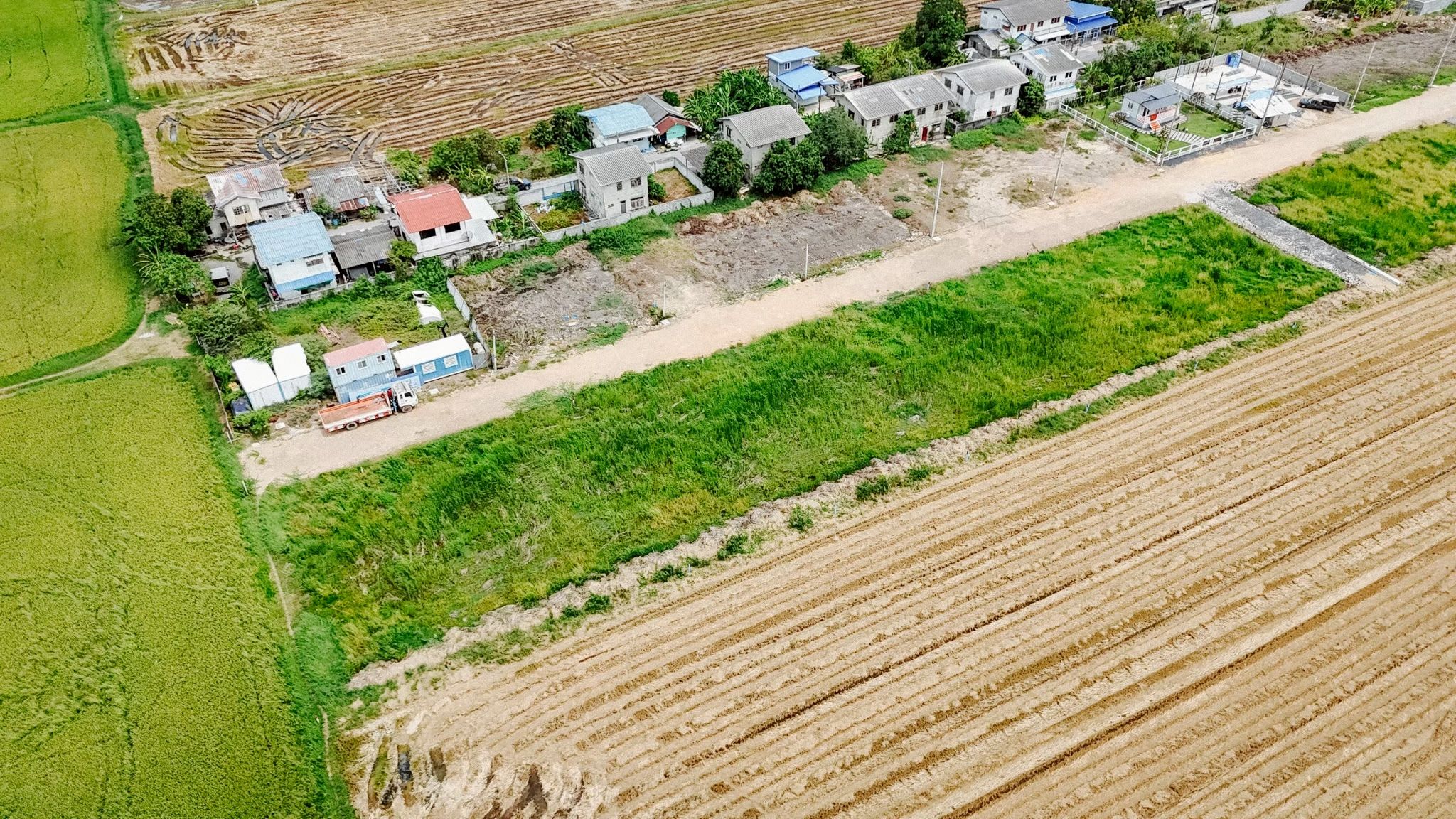 ที่สวย 100 ตรว ทำเลดี บรรบยากาศดี หนองจอก กรุงเทพ
