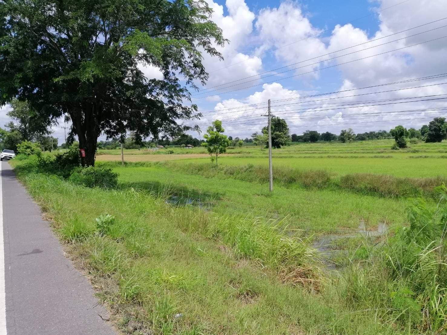 ขายที่ดิน ที่เปล่าบรรยากาศดี เชียงยืน มหาสารคาม 7-3-49