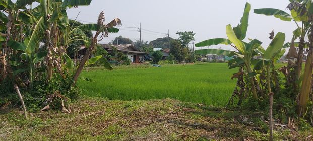 ที่ดินเปล่า เมืองเชียงราย 8-2-91