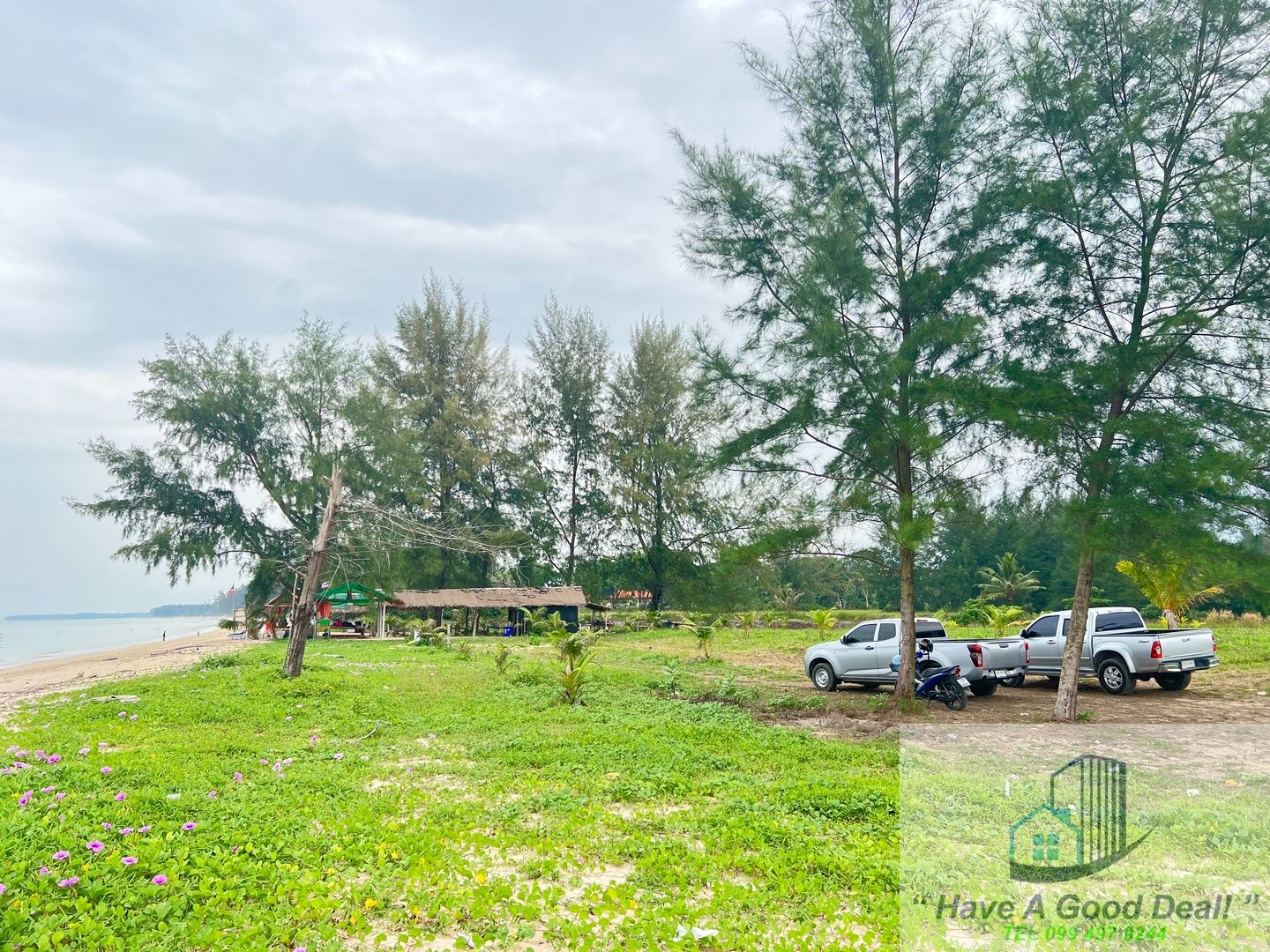 ขายที่ดินพังงา ติดชายหาด 25-1-26.1 ไร่ ต.บางม่วง อ.ตะกั่วป่า จ.พังงา